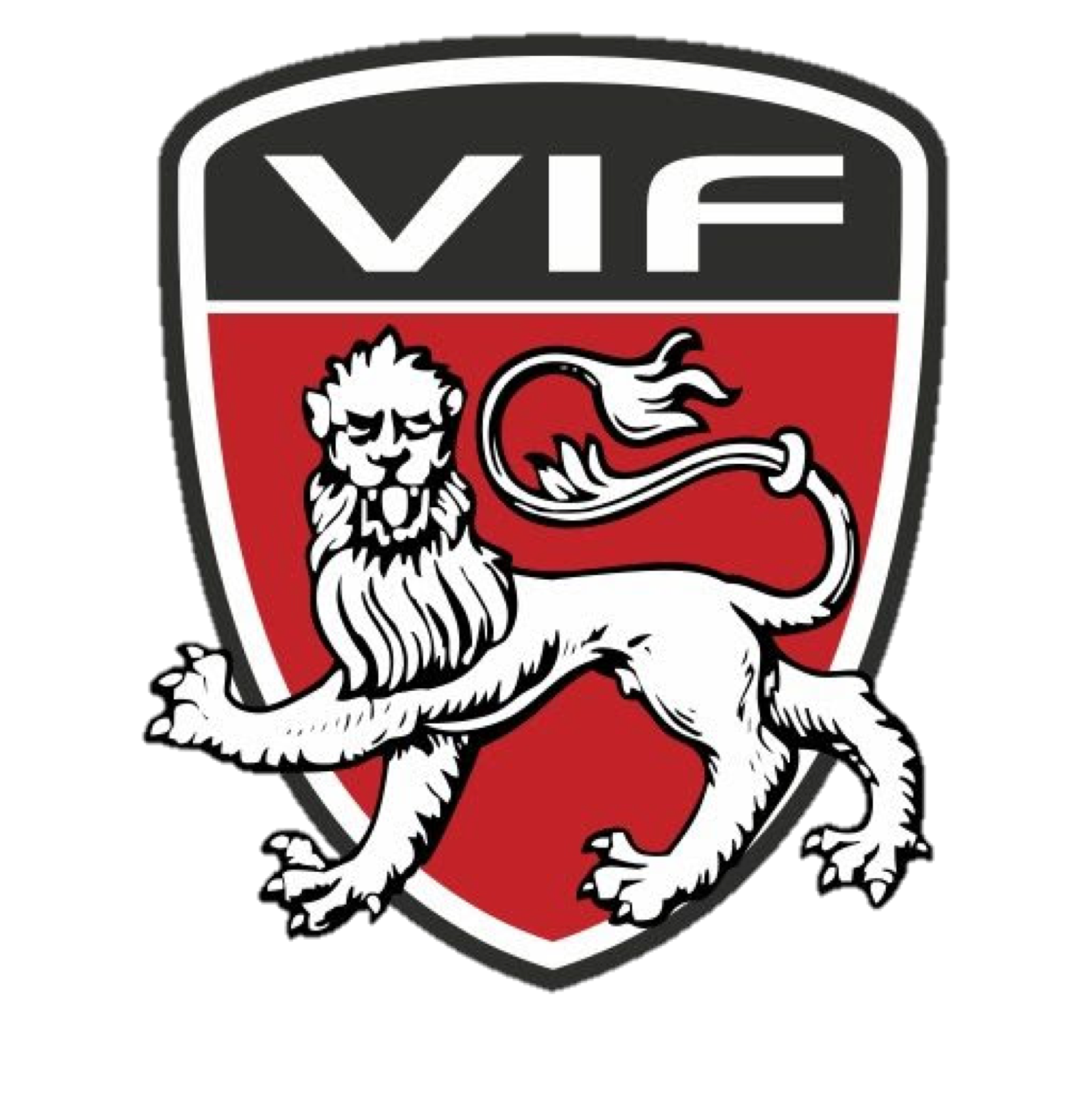 Varde IF