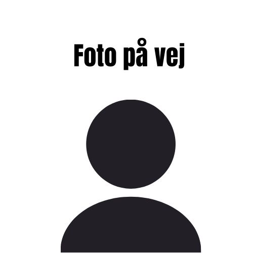 Foto-paa-vej